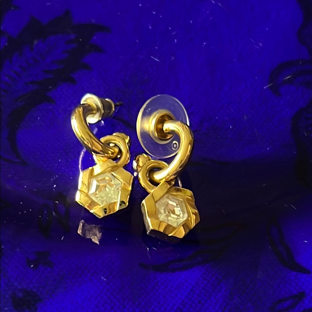 Christian Dior Elegant dangling charm Earrings